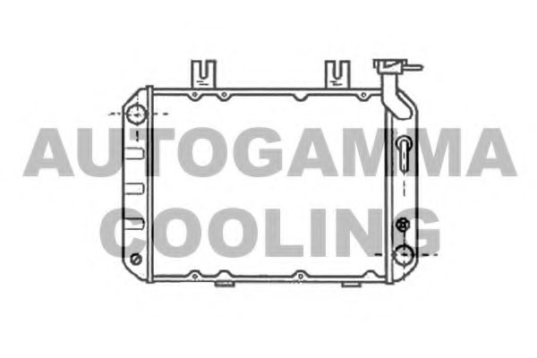 AUTOGAMMA 102106 Радиатор, охлаждение двигателя 