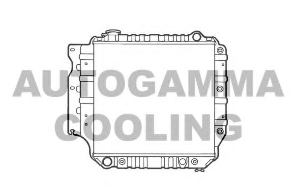 AUTOGAMMA 102132 Радиатор, охлаждение двигателя 