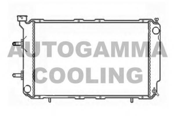 AUTOGAMMA 102312 Радиатор, охлаждение двигателя 