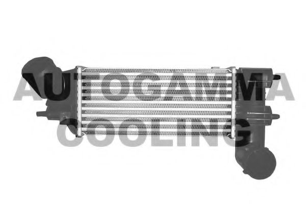 AUTOGAMMA 102899 Интеркулер 