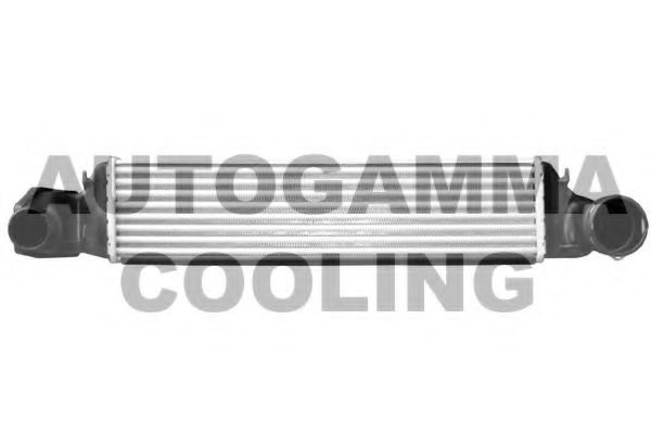 AUTOGAMMA 103730 Интеркулер 