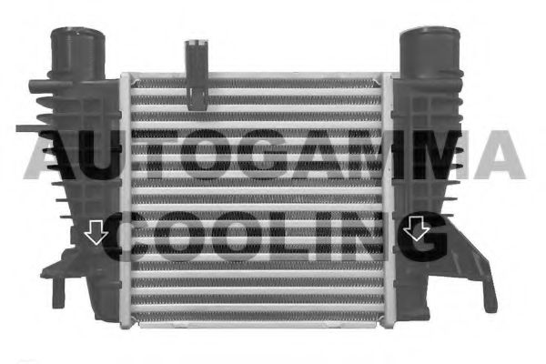 AUTOGAMMA 107257 Интеркулер для NISSAN CUBE (Ниссан Cубэ) AUTOGAMMA 107257 Интеркулер для NISSAN CUBE (Ниссан Cубэ)