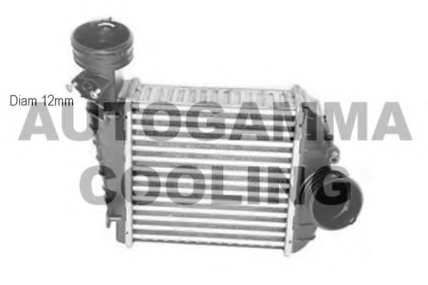 AUTOGAMMA 107496 Интеркулер 