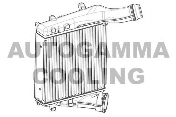 AUTOGAMMA 107553 Интеркулер 