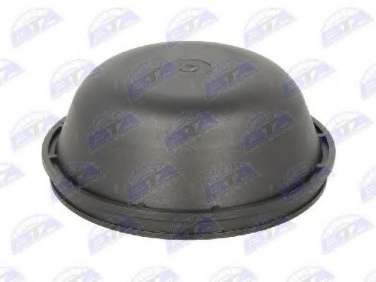 BTA B09-RVI-001 Кожух, ступица колеса для RENAULT-TRUCKS (Рено-труcкс)