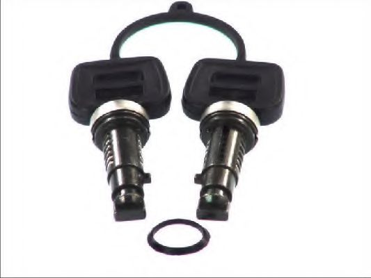 PACOL DAF-DH-001 Замок двери для DAF XF 95 (Даф Xф 95) PACOL DAF-DH-001 Замок двери для DAF XF 95 (Даф Xф 95)