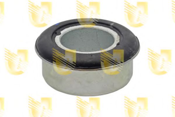 UNIGOM 410038 Подвеска, рычаг независимой подвески колеса для IVECO DAILY III (Ивеко Даилъ 3) UNIGOM 410038 Подвеска, рычаг независимой подвески колеса для IVECO DAILY III (Ивеко Даилъ 3)