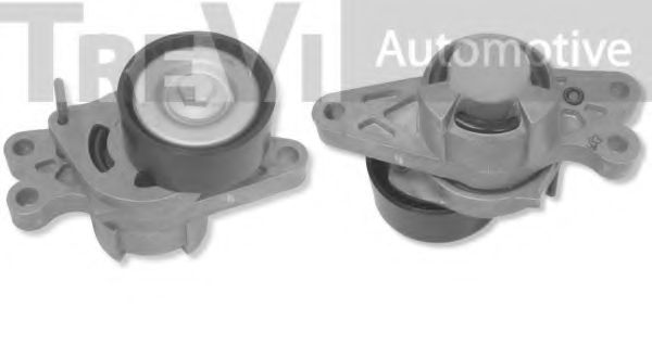 TREVI AUTOMOTIVE TA1694 Натяжитель ремня, клиновой зубча для CITROËN NEMO (CитроËн Нэмо)