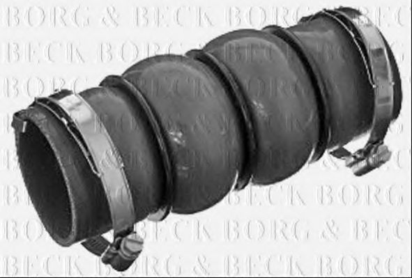 BORG & BECK BTH1051 Трубка нагнетаемого воздуха для CITROëN (Cитроëн) BORG & BECK BTH1051 Трубка нагнетаемого воздуха для CITROëN (Cитроëн)