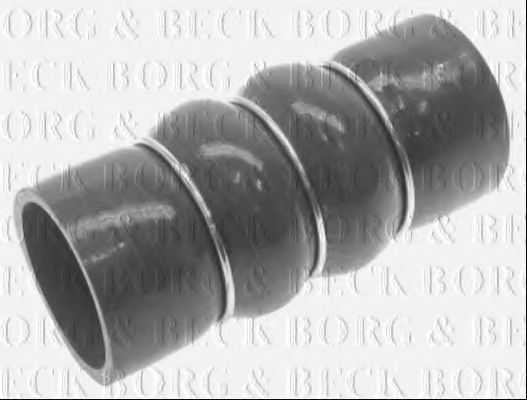 BORG & BECK BTH1291 Трубка нагнетаемого воздуха для FORD FOCUS III (Форд Фокус 3) BORG & BECK BTH1291 Трубка нагнетаемого воздуха для FORD FOCUS III (Форд Фокус 3)