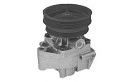 BGA CP3088 Водяной насос для FIAT MAREA (Фиат Мареа) BGA CP3088 Водяной насос для FIAT MAREA (Фиат Мареа)
