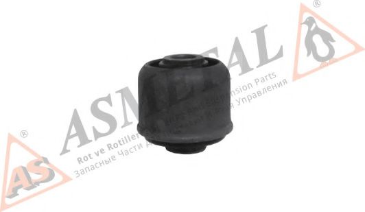 ASMETAL 38RN5543 Подвеска, рычаг независимой подвески колеса 