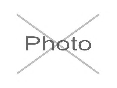 CTE CBH24002 Подвеска, рычаг независимой подвески колеса для JEEP COMPASS (Джип Cомпасс) CTE CBH24002 Подвеска, рычаг независимой подвески колеса для JEEP COMPASS (Джип Cомпасс)