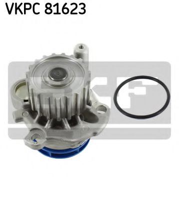 SKF VKPC 81623 Водяной насос для SEAT IBIZA III (Сеат Ибица 3) SKF VKPC 81623 Водяной насос для SEAT IBIZA III (Сеат Ибица 3)
