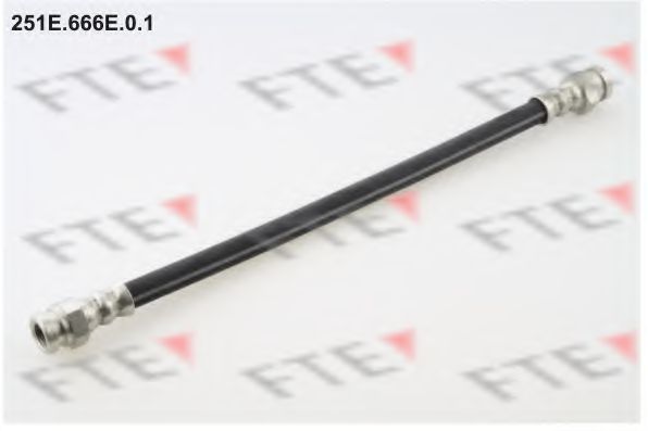 FTE 251E.666E.0.1 Тормозной шланг для MAZDA (Мазда) FTE 251E.666E.0.1 Тормозной шланг для MAZDA (Мазда)