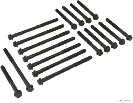 HERTH+BUSS JAKOPARTS J1282006 Комплект болтов головки цилидра 