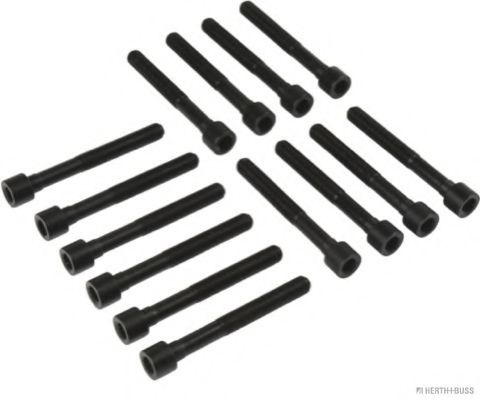 HERTH+BUSS JAKOPARTS J1282046 Комплект болтов головки цилидра 