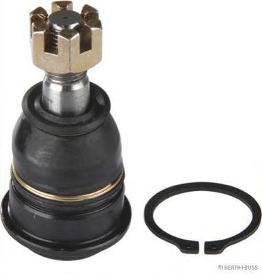 HERTH+BUSS JAKOPARTS J4861024 Несущий направляющий шарнир справа для NISSAN SUNNY III LER (Ниссан Суннъ 3 лэр) HERTH+BUSS JAKOPARTS J4861024 Несущий направляющий шарнир справа для NISSAN SUNNY III LER (Ниссан Суннъ 3 лэр)