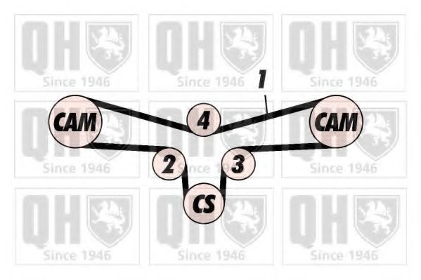 QUINTON HAZELL QBK564 Комплект ремня ГРМ 