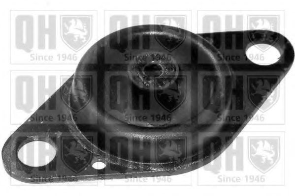 QUINTON HAZELL EM3087 Подвеска, автоматическая коробка передач; Подвеска, ступенчатая коробка передач для FIAT (Фиат) QUINTON HAZELL EM3087 Подвеска, автоматическая коробка передач; Подвеска, ступенчатая коробка передач для FIAT (Фиат)