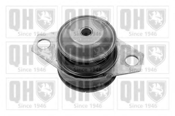 QUINTON HAZELL EM4059 Подвеска, автоматическая коробка передач; Подвеска, ступенчатая коробка передач для FIAT (Фиат) QUINTON HAZELL EM4059 Подвеска, автоматическая коробка передач; Подвеска, ступенчатая коробка передач для FIAT (Фиат)