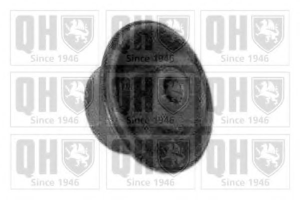 QUINTON HAZELL EMS2433 Подвеска, рычаг независимой подвески колеса для VOLKSWAGEN CORSAR (Фольксваген Cорсар) QUINTON HAZELL EMS2433 Подвеска, рычаг независимой подвески колеса для VOLKSWAGEN CORSAR (Фольксваген Cорсар)
