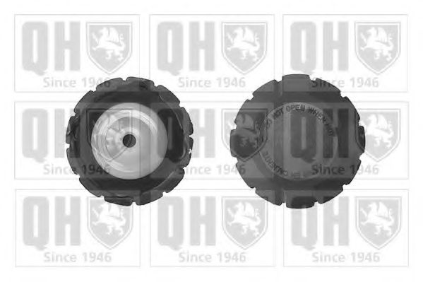 QUINTON HAZELL FC517 Крышка, резервуар охлаждающей жидкости для FIAT MULTIPLA (Фиат Мултипла) QUINTON HAZELL FC517 Крышка, резервуар охлаждающей жидкости для FIAT MULTIPLA (Фиат Мултипла)