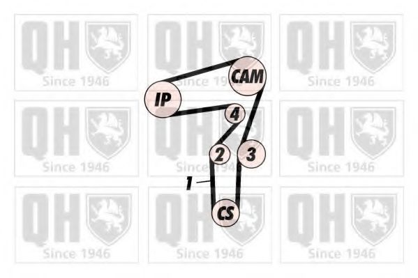 QUINTON HAZELL QBK788 Комплект ремня ГРМ 