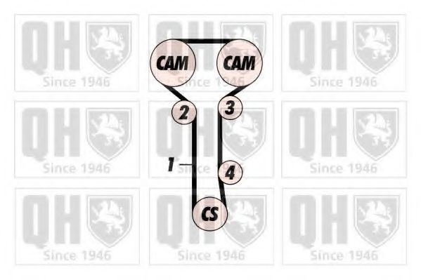 QUINTON HAZELL QBK560 Комплект ремня ГРМ 