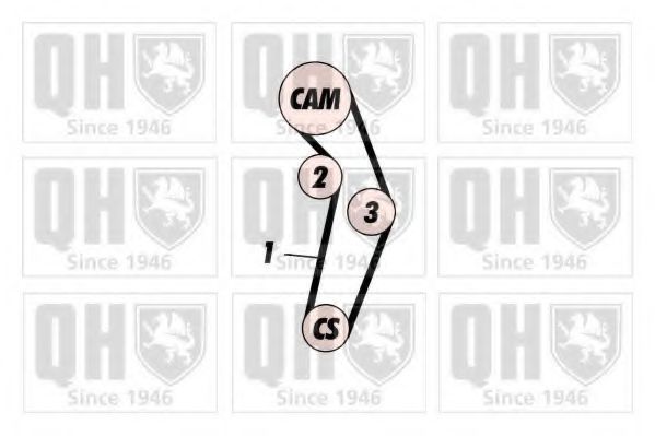 QUINTON HAZELL QBK534 Комплект ремня ГРМ 