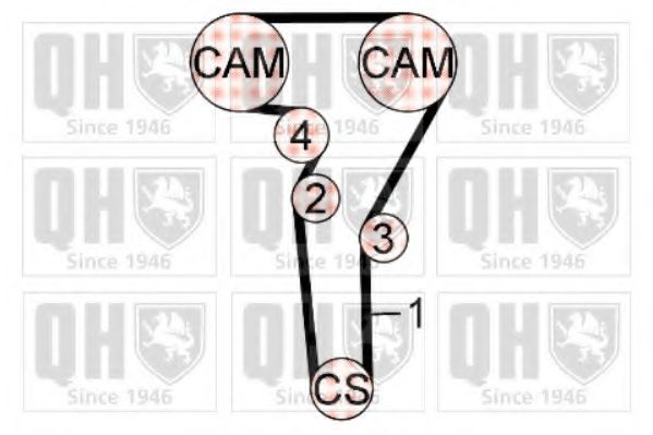 QUINTON HAZELL QBK791 Комплект ремня ГРМ 