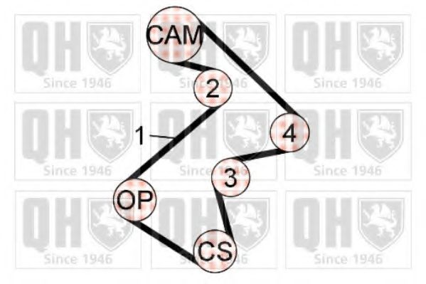 QUINTON HAZELL QBK594 Комплект ремня ГРМ 