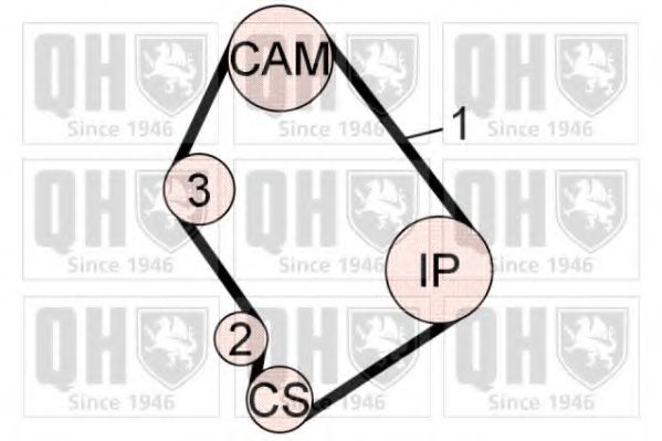 QUINTON HAZELL QBK602 Комплект ремня ГРМ 