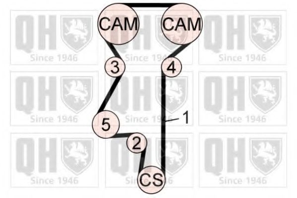 QUINTON HAZELL QBK608 Комплект ремня ГРМ 