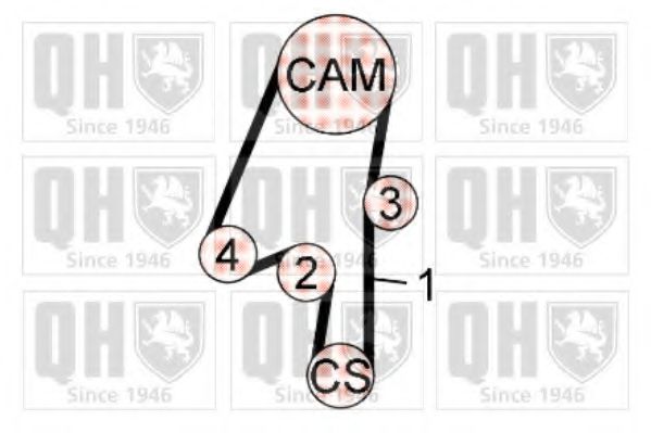 QUINTON HAZELL QBK685 Комплект ремня ГРМ 