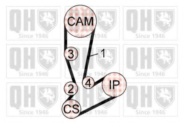 QUINTON HAZELL QBK706 Комплект ремня ГРМ 