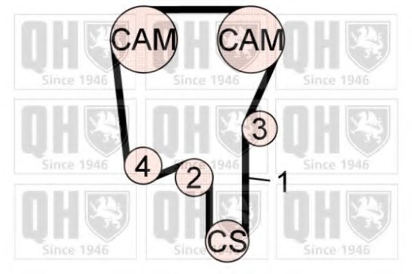 QUINTON HAZELL QBK801 Комплект ремня ГРМ 