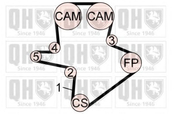 QUINTON HAZELL QBK761 Комплект ремня ГРМ 