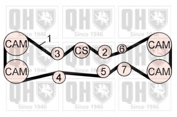 QUINTON HAZELL QBK769 Комплект ремня ГРМ 