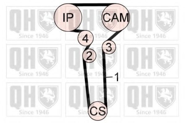 QUINTON HAZELL QBK792 Комплект ремня ГРМ 