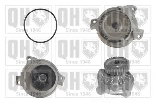 QUINTON HAZELL QCP3093 Водяной насос для AUDI A6 (Ауди А6) QUINTON HAZELL QCP3093 Водяной насос для AUDI A6 (Ауди А6)
