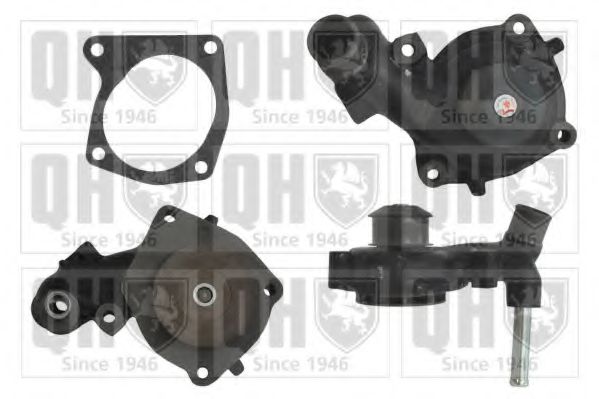 QUINTON HAZELL QCP3100 Водяной насос для FORD MONDEO (Форд Мондэо) QUINTON HAZELL QCP3100 Водяной насос для FORD MONDEO (Форд Мондэо)