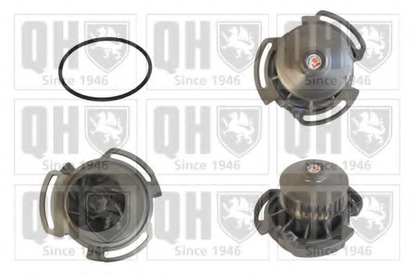 QUINTON HAZELL QCP3404 Водяной насос для VOLKSWAGEN POLO (Фольксваген Поло) QUINTON HAZELL QCP3404 Водяной насос для VOLKSWAGEN POLO (Фольксваген Поло)