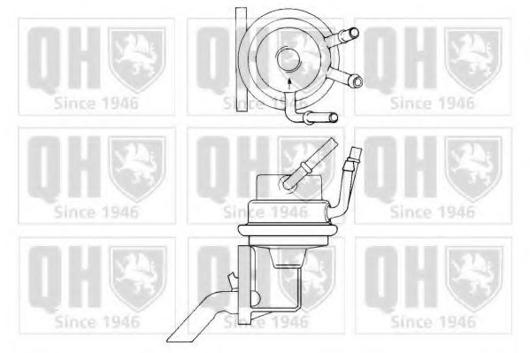 QUINTON HAZELL QFP294 Топливный насос для FORD ORION III (Форд Орион 3) QUINTON HAZELL QFP294 Топливный насос для FORD ORION III (Форд Орион 3)