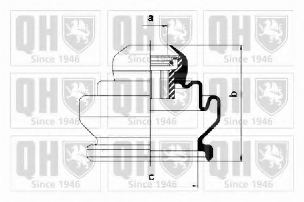 QUINTON HAZELL QJB173 Комплект пылника, приводной вал для SEAT (Сеат) QUINTON HAZELL QJB173 Комплект пылника, приводной вал для SEAT (Сеат)