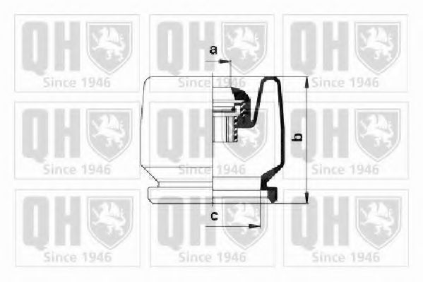 QUINTON HAZELL QJB175 Комплект пылника, приводной вал для SEAT (Сеат) QUINTON HAZELL QJB175 Комплект пылника, приводной вал для SEAT (Сеат)