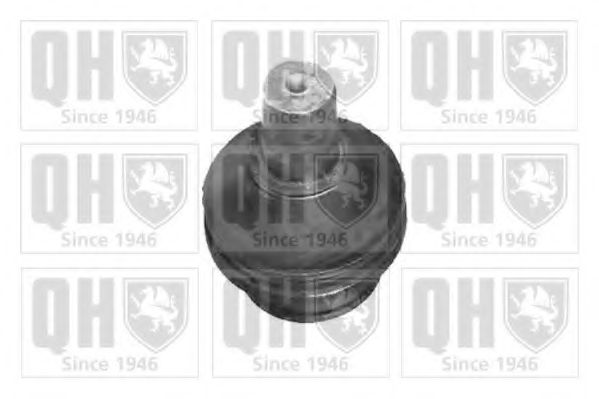 QUINTON HAZELL QSJ3467S Несущий направляющий шарнир 