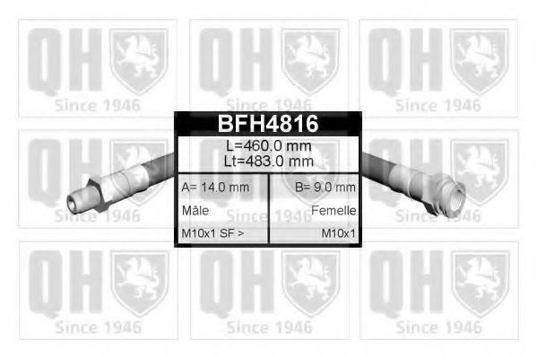 QUINTON HAZELL BFH4816 Тормозной шланг для LANCIA (Лансиа/лянча) QUINTON HAZELL BFH4816 Тормозной шланг для LANCIA (Лансиа/лянча)