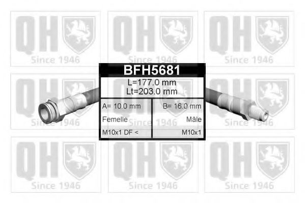 QUINTON HAZELL BFH5681 Тормозной шланг для TOYOTA VERSO SPORTVAN (Тойота/тоета Vэрсо спортvан) QUINTON HAZELL BFH5681 Тормозной шланг для TOYOTA VERSO SPORTVAN (Тойота/тоета Vэрсо спортvан)