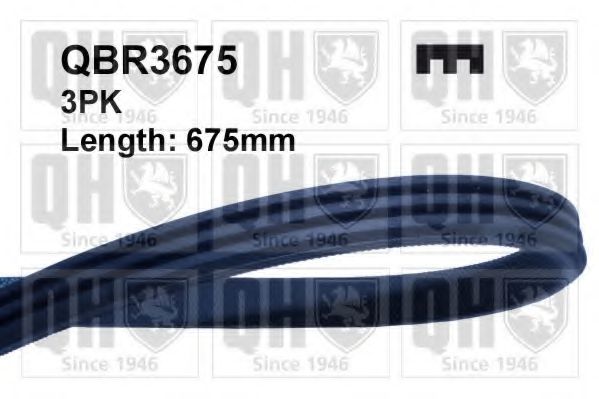 QUINTON HAZELL QBR3675 Поликлиновой ремень для FORD ESCAPE (Форд Эскейп) QUINTON HAZELL QBR3675 Поликлиновой ремень для FORD ESCAPE (Форд Эскейп)